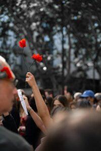 People holding carnations aloft in Portugal