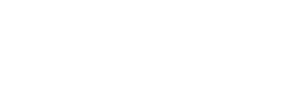 The Portugal Daily logo