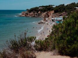 An algarve beach with the ocean and sand seen from a cliff side