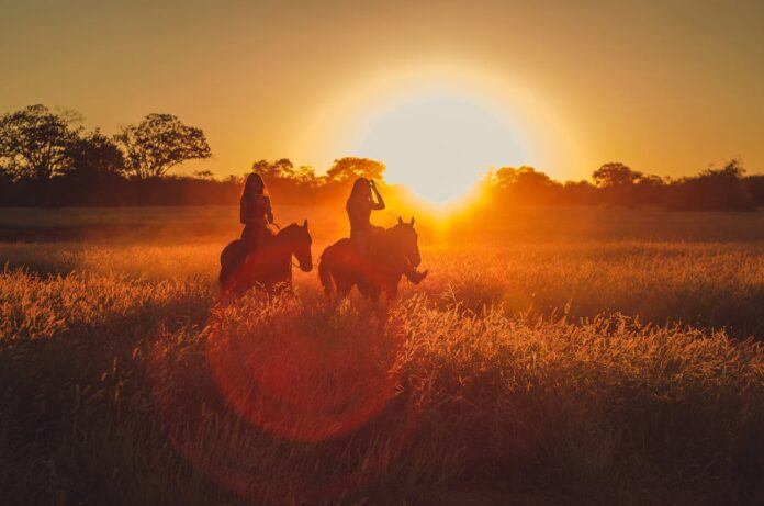 Two people ride horses in a field as the sun sets casting a golden glow on the field.