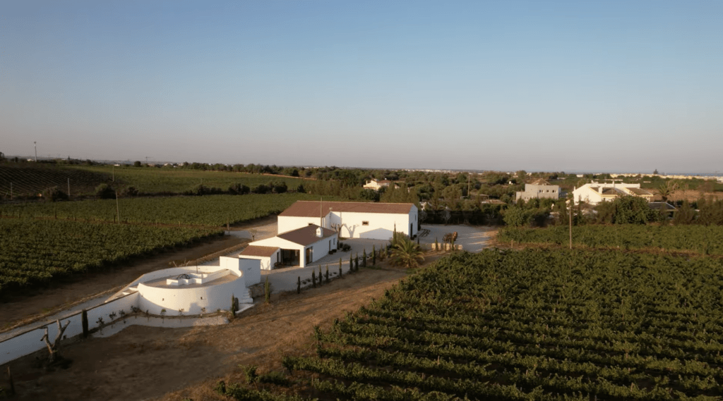 Casa Santos LIma vineyard in Tavira, Portugal.