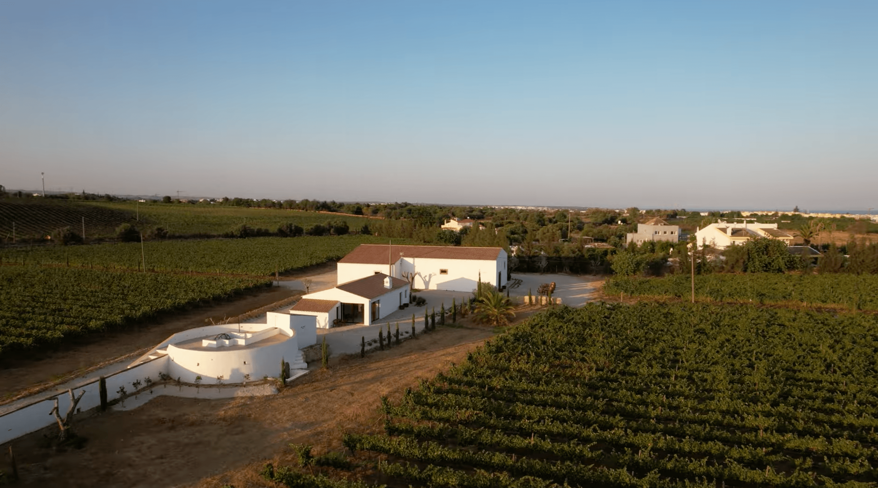 Casa Santos LIma vineyard in Tavira, Portugal.