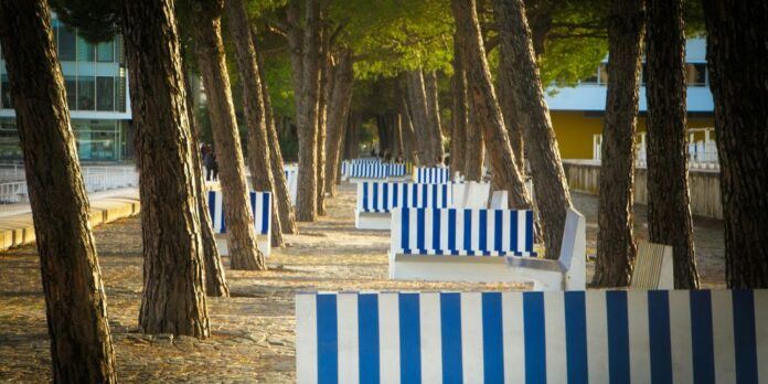 a row of blue and white benches sitting next to trees