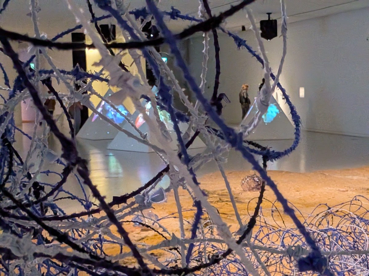 Barbed wire curled up to form part of an art installation on a gallery floor