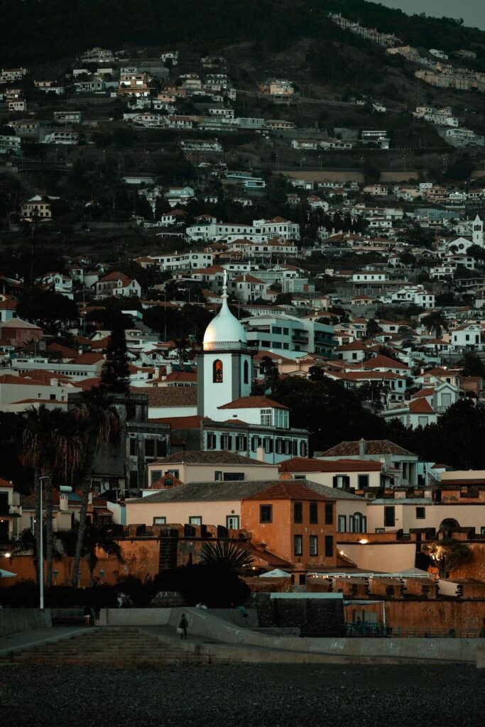 A view from a height of the city of Funchal