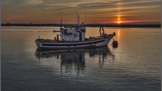 A small fishing boat is seen on the water with land in the background.