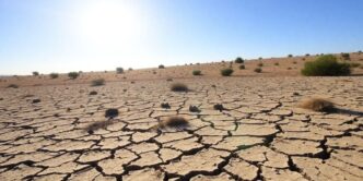 Dry cracked landscape in Alentejo due to drought.