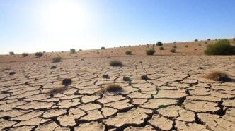 Dry cracked landscape in Alentejo due to drought.