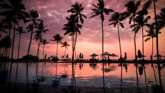 low angle photo of coconut trees beside body of water