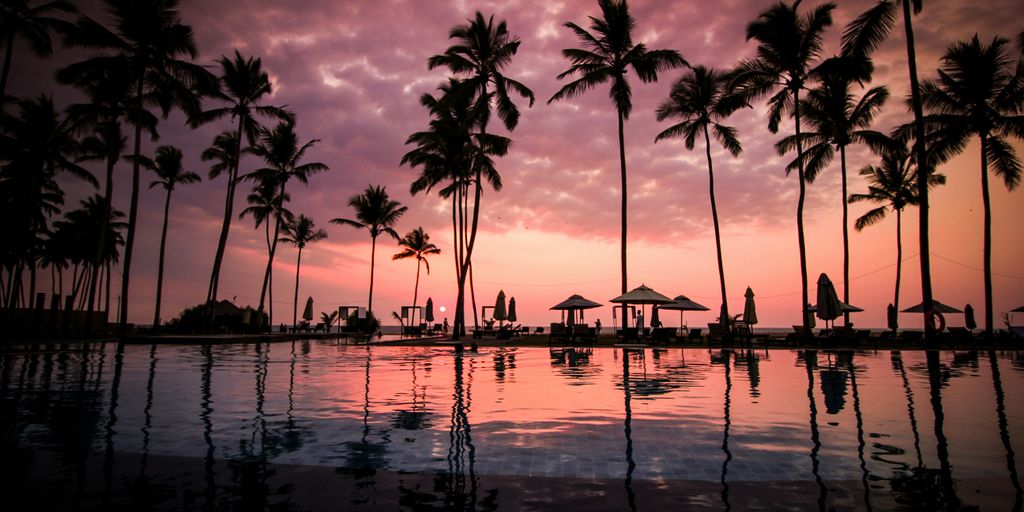 low angle photo of coconut trees beside body of water