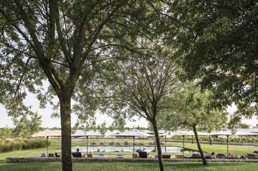 L'AND Vineyard seating area with parasols seen through trees