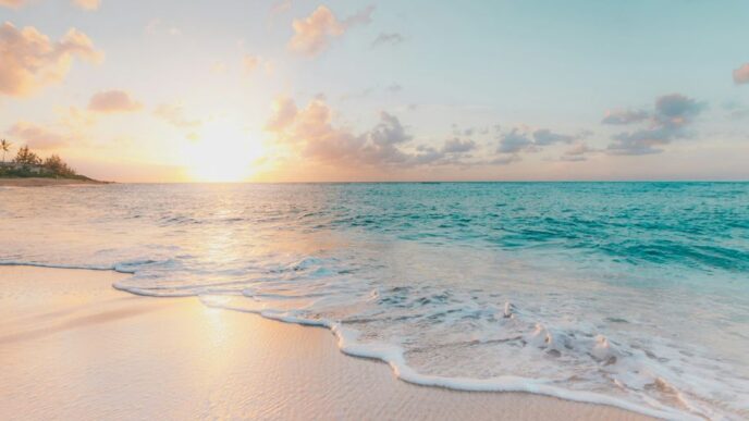 seashore during golden hour